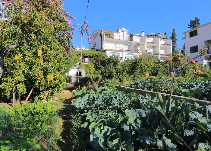 Appartement By The Sea Seget Donji, - 2029 Trogir