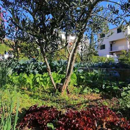 By The Sea Seget Donji, - 2029 アパート *